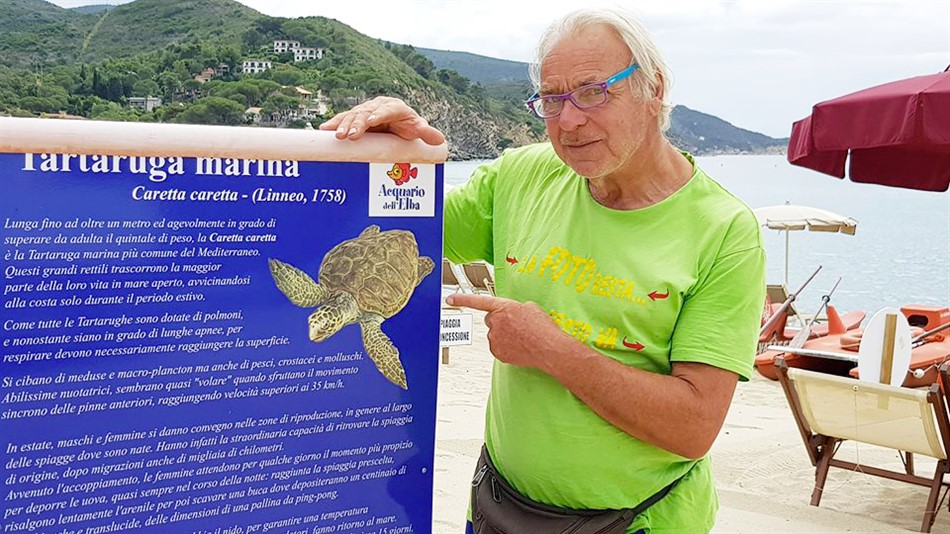 Die Schildkröten in Marina di Campo ... ein Jahr später.