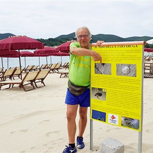 Die Schildkröten in Marina di Campo ... ein Jahr später.