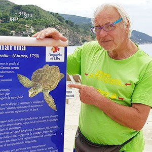 Le tartarughine a Marina di Campo… un anno dopo.