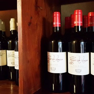 GRAPES and TERRITORY, between history and food and wine
