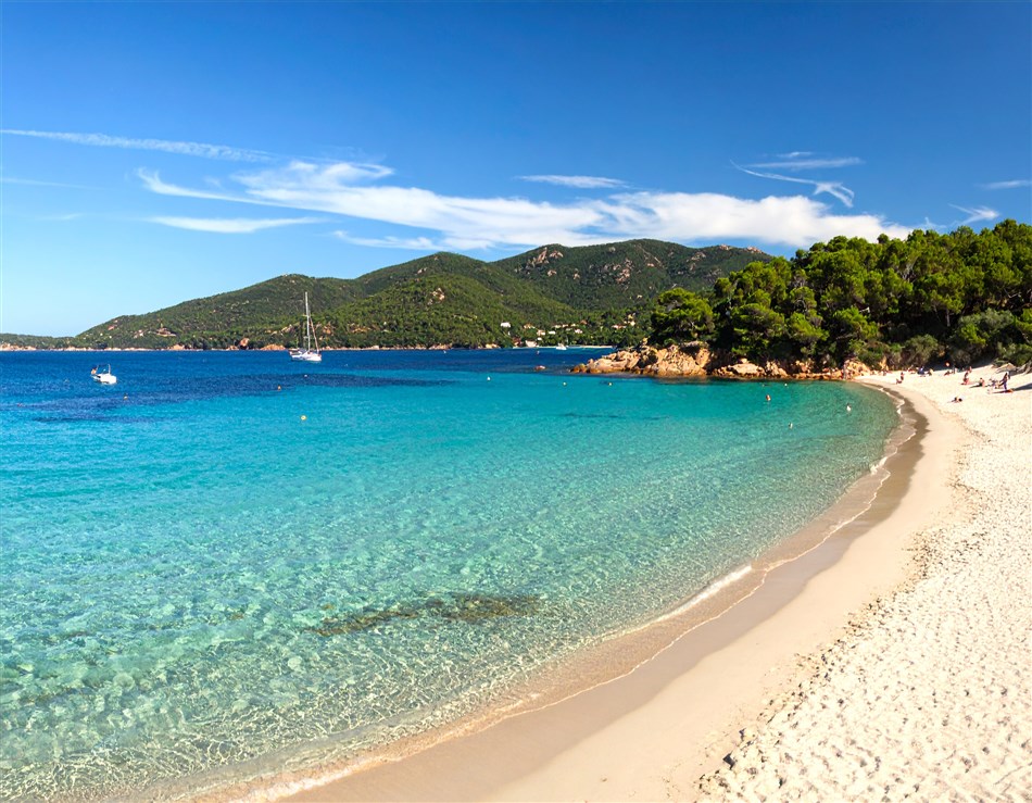 Experience Elba Island in September: sea, events, nature and flavours